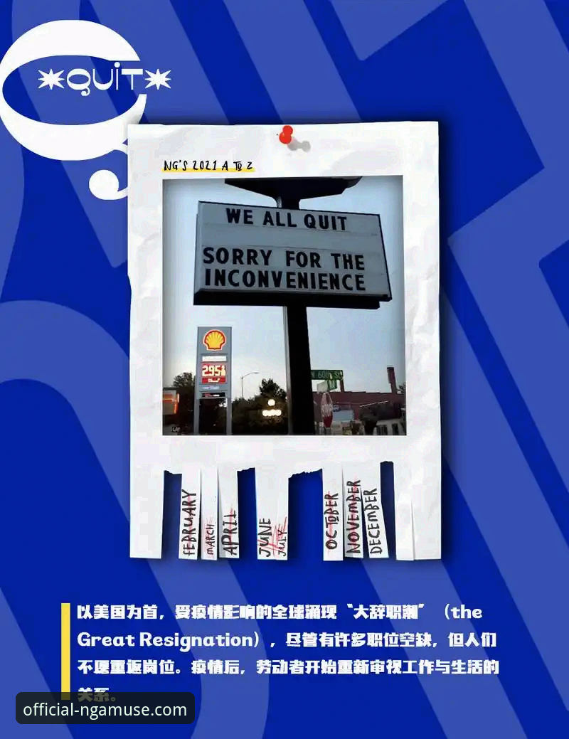 NG娱乐平台全面评测：从技术视角解析用户常见问题